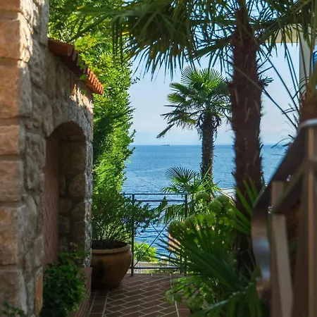 Salvia * Opatija