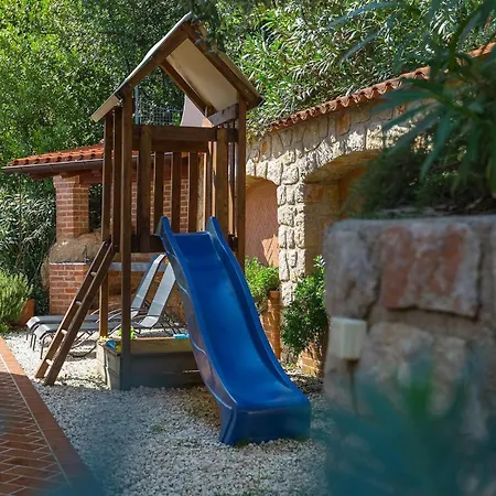 Salvia * Опатия