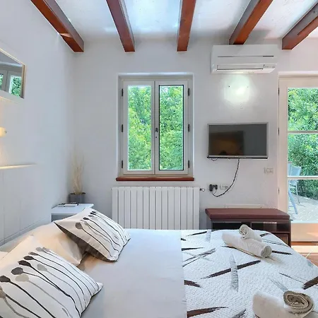 Salvia * Опатия